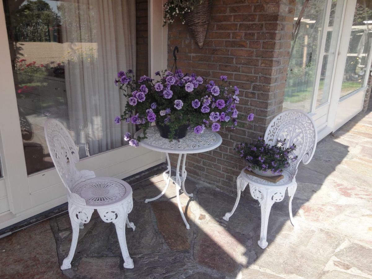 Riethove Bed & Breakfast Harlingen Ngoại thất bức ảnh
